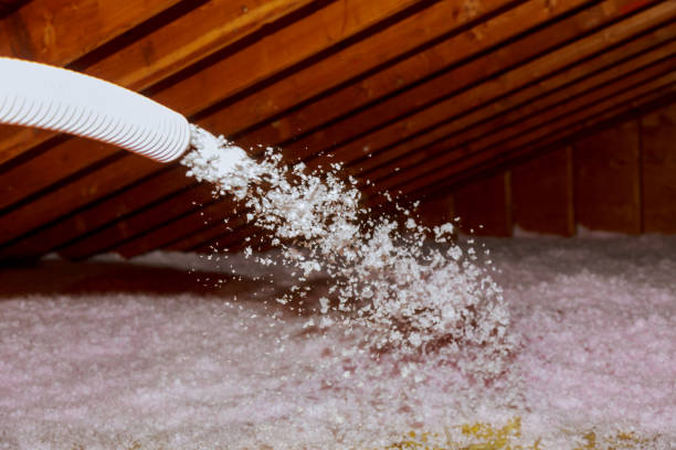 Best Spray Foam Insulation  in Roessleville, NY