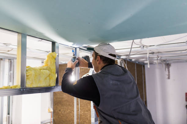 Best Garage Insulation Installation  in Roessleville, NY