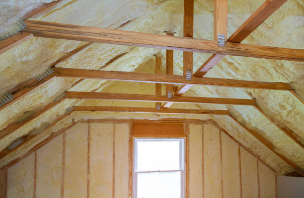 Best Spray Foam Insulation  in Roessleville, NY