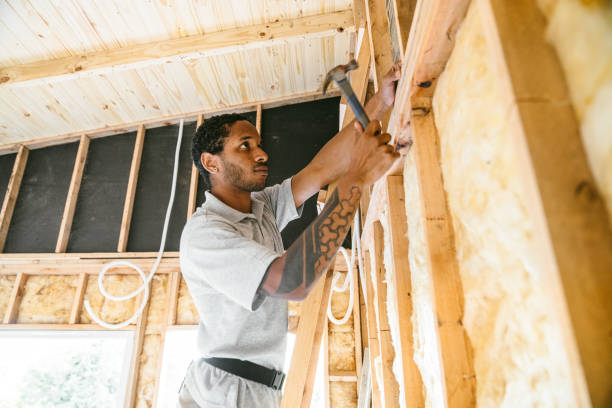Best Home Insulation Services  in Roessleville, NY