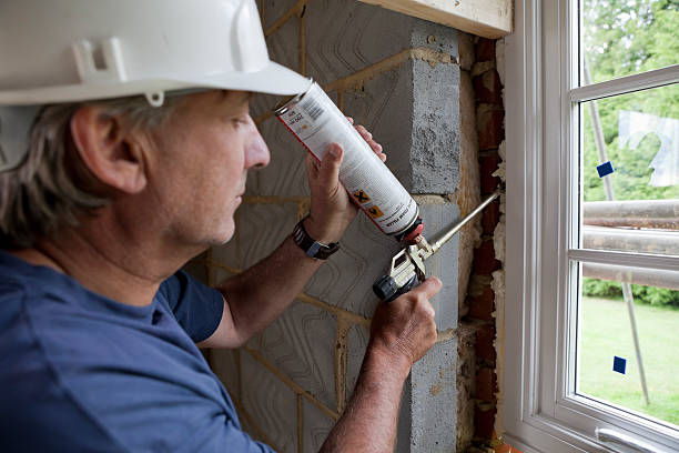 Best Energy-efficient Insulation  in Roessleville, NY