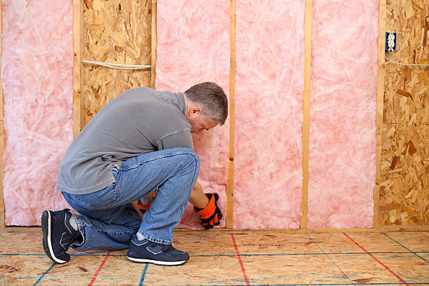 Best Insulation Removal Services  in Roessleville, NY