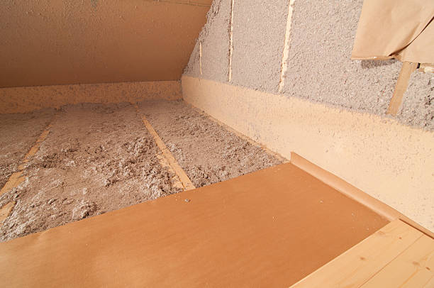 Best Insulation Inspection Services  in Roessleville, NY